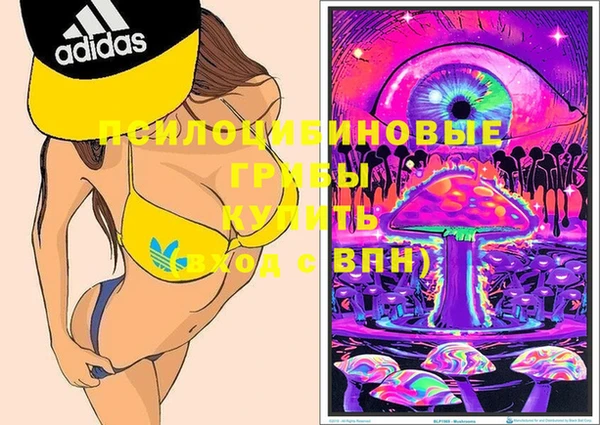дмт Абаза