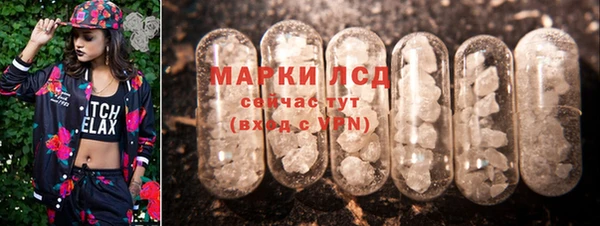 дмт Абаза