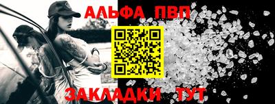 индика Камышлов