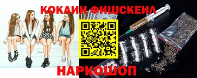 индика Камышлов