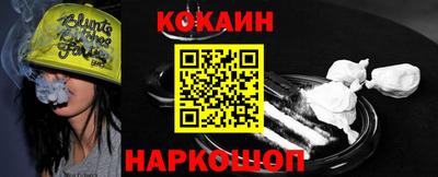 индика Камышлов