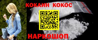 индика Камышлов