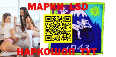 шишки Кандалакша
