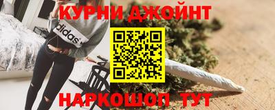 индика Камышлов