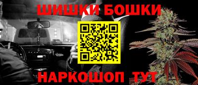 шишки Кандалакша