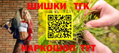 шишки Кандалакша