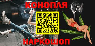 индика Камышлов
