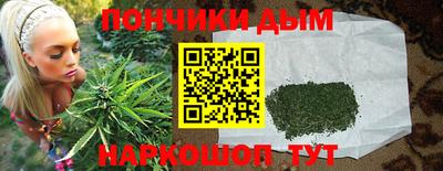 шишки Кандалакша