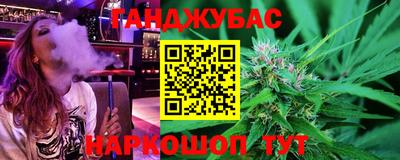 индика Камышлов