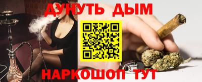 индика Камышлов