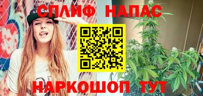 шишки Кандалакша