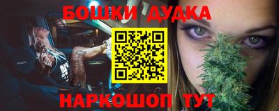 шишки Кандалакша