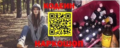 индика Камышлов